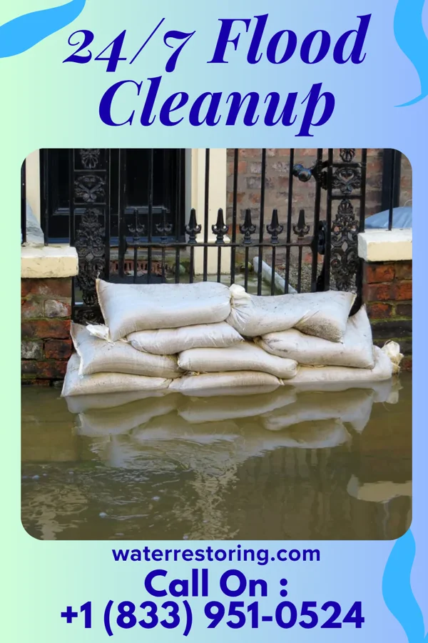 24/7 Flood Cleanup in Lane, SC
