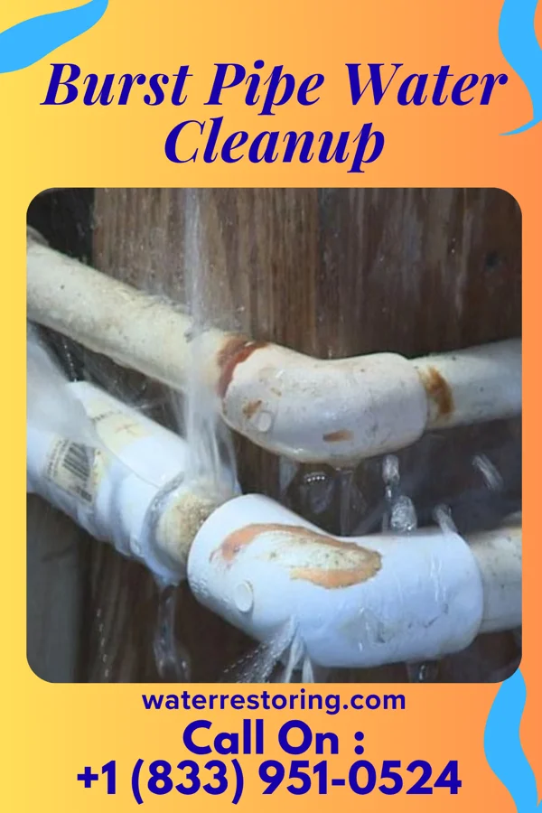 Burst Pipe Water Cleanup in Lane, SC