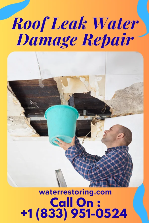 Roof Leak Water Damage Repair in Lane, SC