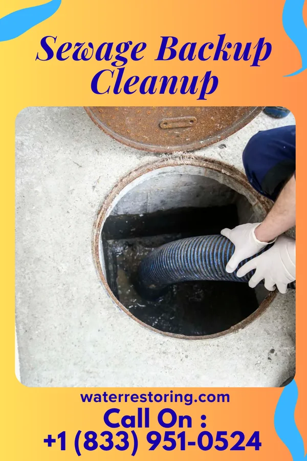 Sewage Backup Cleanup in Lane, SC