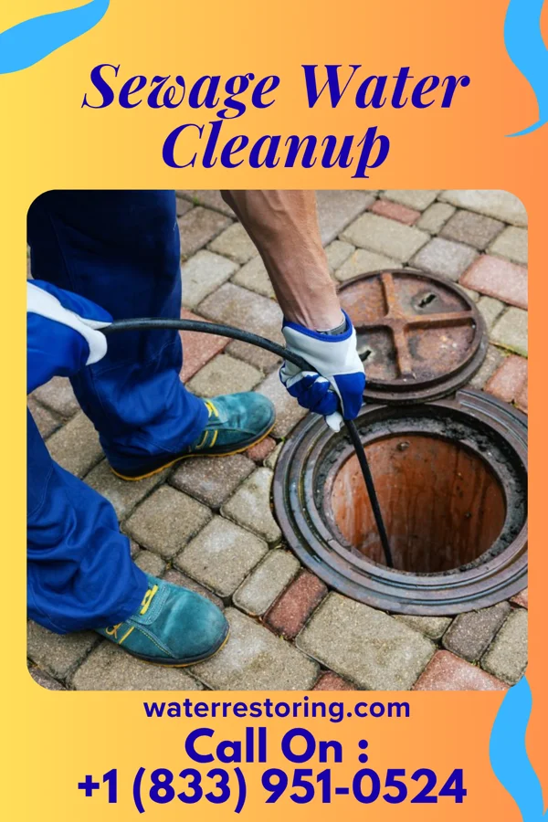 Sewage Water Cleanup in Lane, SC