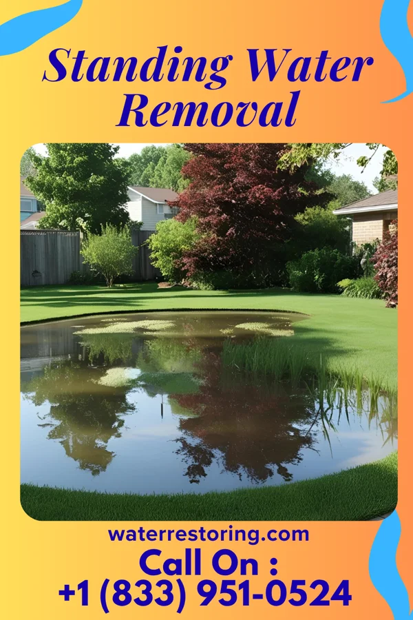 Standing Water Removal in Lane, SC